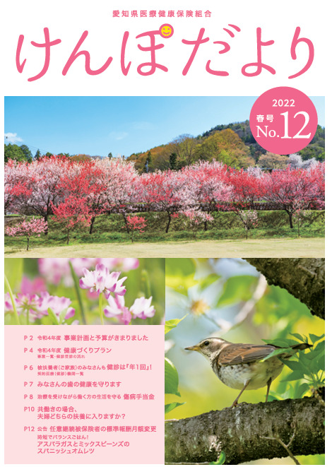 けんぽだより No.12